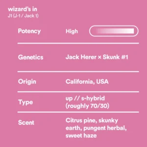 wizards in