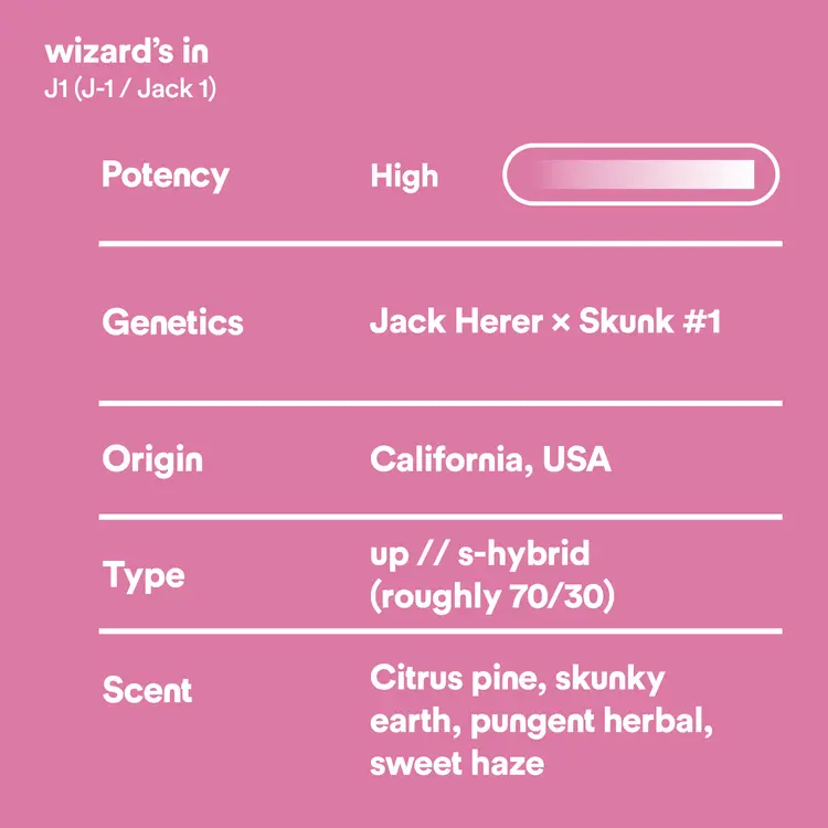 wizards in