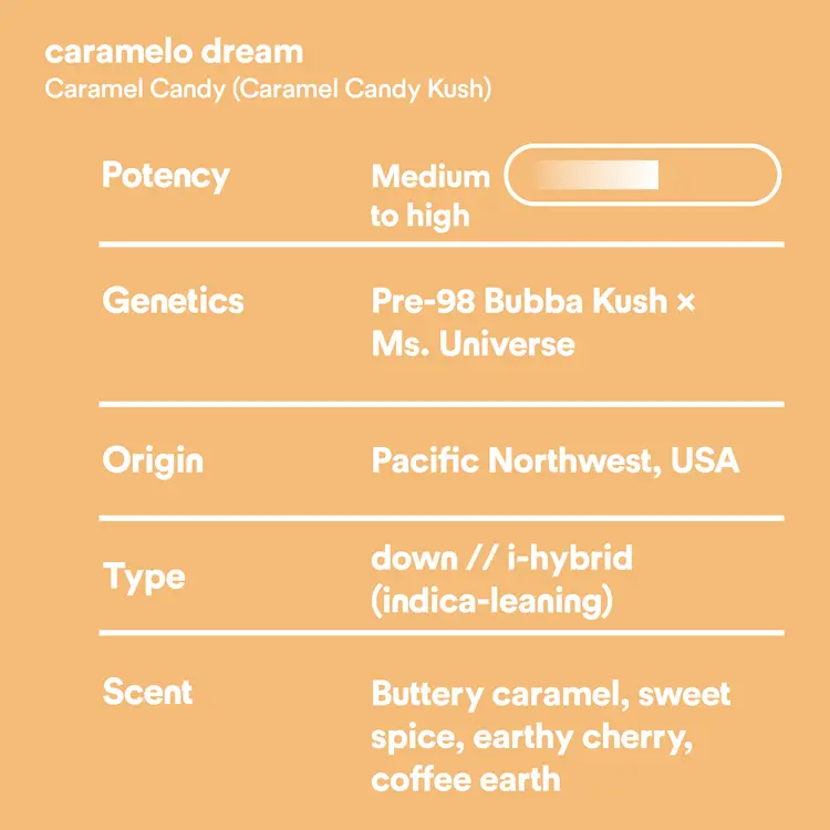 caramelo dream